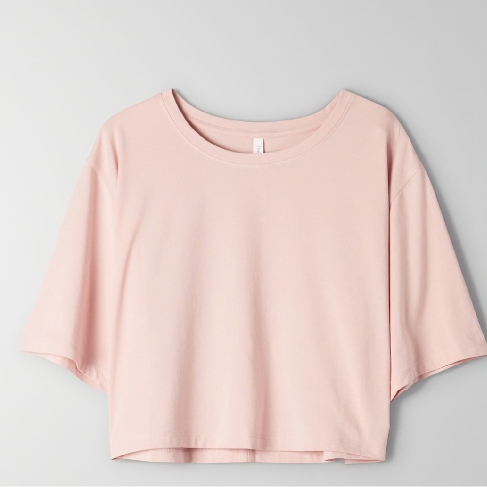 Aritzia Babaton Foundation Relaxed T-Shirt